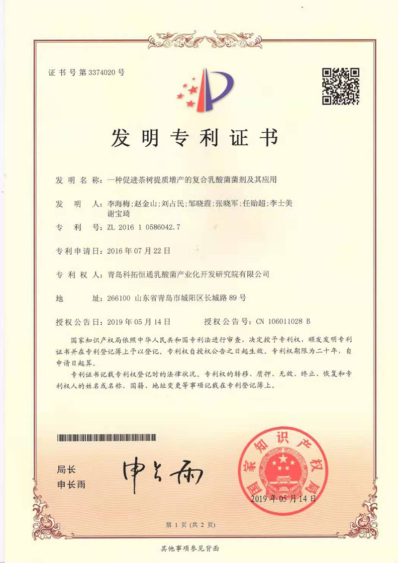 一種促進茶樹提質(zhì)增產(chǎn)的復合乳酸菌菌劑及其應用